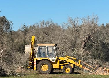 Terna JCB