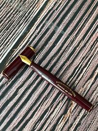 Penna stilografica d. Steinberg