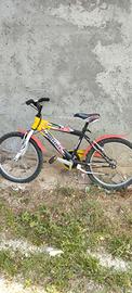 Bici mtb