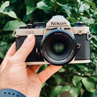 Nikon FM2 nido d’ape