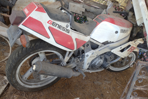 Yamaha fzr Genesis 400 1988