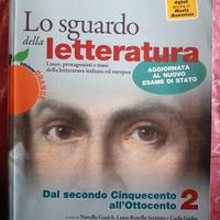 lo sguardo della letteratura 2