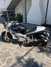 Ducati Monster