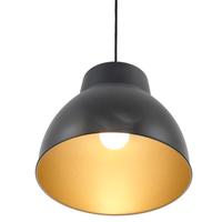 Lampada a Sospensione nera Acciaio Inox
