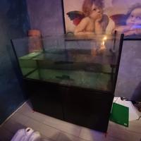 acquario marino completo 