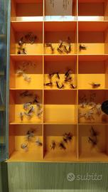 Mosche per pesca  a mosca