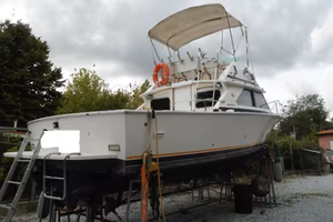 BERTRAM 28 TURBO LINEA D'ASSE