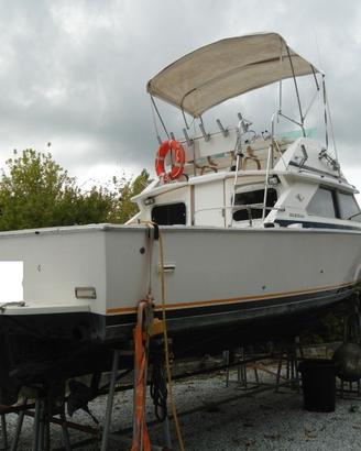 BERTRAM 28 TURBO LINEA D'ASSE
