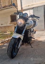 Honda hornet