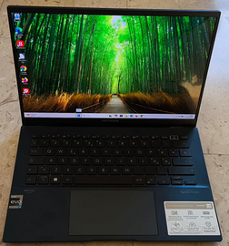 asus zenbook 14" oled