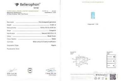 Smeraldo di 13.28 Carati