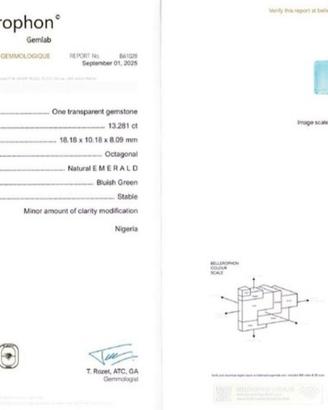 Smeraldo di 13.28 Carati
