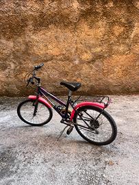 Bicicletta Grandis