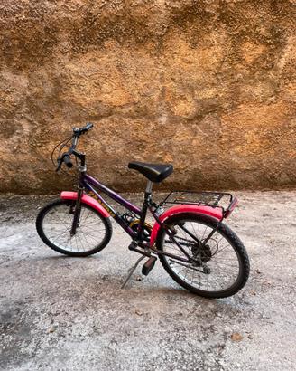 Bicicletta Grandis