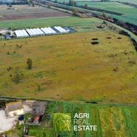 Terreno agricolo 6 HA pianeggiante | TR486