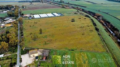 Terreno agricolo 6 HA pianeggiante | TR486