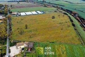 Terreno agricolo 6 HA pianeggiante | TR486