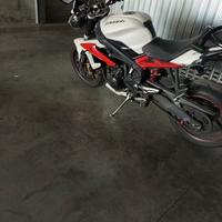 Triumph Street Triple - 2013
