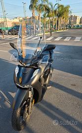 SH 150 SPORT
