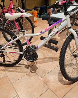 Bicicletta marca Regina, modello Diva 240, colore