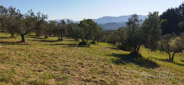 Terreno agricolo a Mompeo