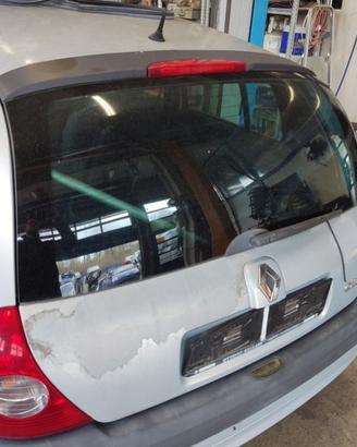 Portellone nudo RENAULT CLIO del 2004