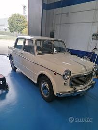 FIAT 1100
