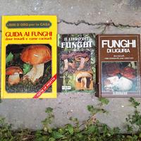 libri funghi