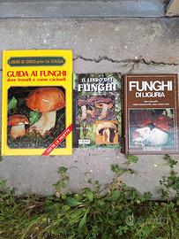 libri funghi
