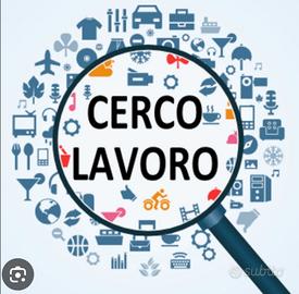 Addetta alle vendite