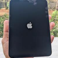 iPad mini 