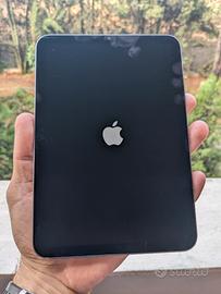 iPad mini 