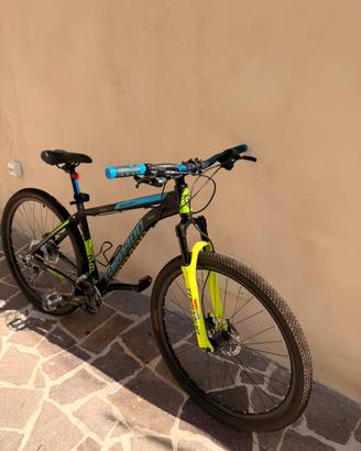 Mtb torpado mercury 29 AL6061
