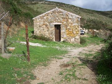 Terreno agricolo in loc. caccioni san petro aggius
