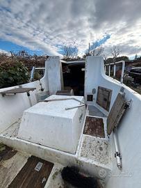 Pilotina alalonga sgombro