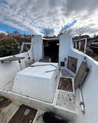 Pilotina alalonga sgombro