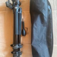 Buonissimo cavalletto foto