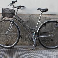 Bicicletta Raleigh Manhattan