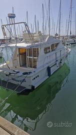 Mochi Craft 33 Fly