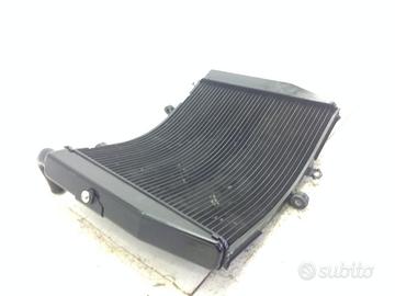 HONDA CBR RR ABS KM0 600 RADIATORE ACQUA RAFFREDDA