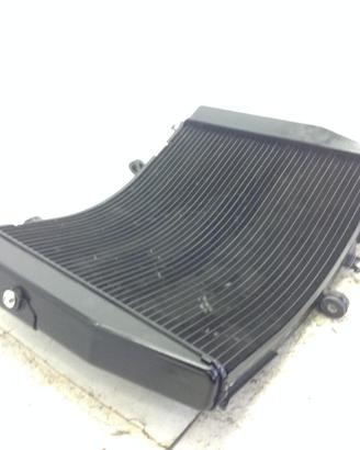 HONDA CBR RR ABS KM0 600 RADIATORE ACQUA RAFFREDDA