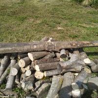 Trave in legno - tronco di bagolaro (spaccasassi)