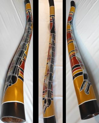Didgeridoo in Ailantus