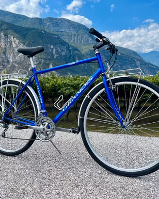Bici da città/cicloturismo Grandis revisionata