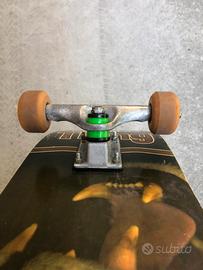 Skateboard wild