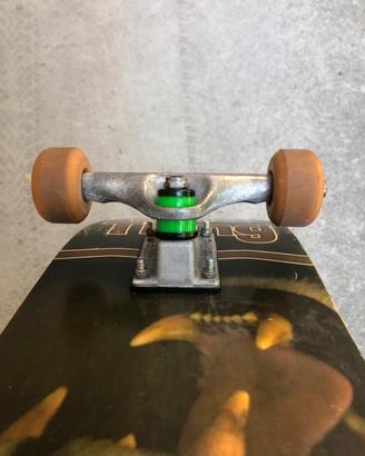 Skateboard wild