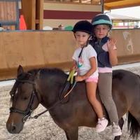 Pony shetland femmina