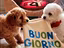Immagine 14