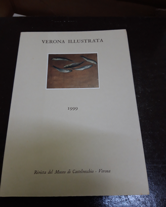 Verona illustrata