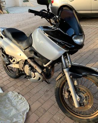 Suzuki XF Freewind 650